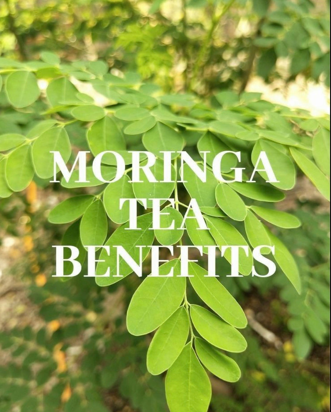 Immune Tea - Spin The Yard