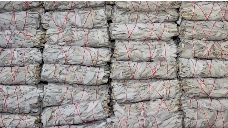 Blue Sage - Spin The Yard