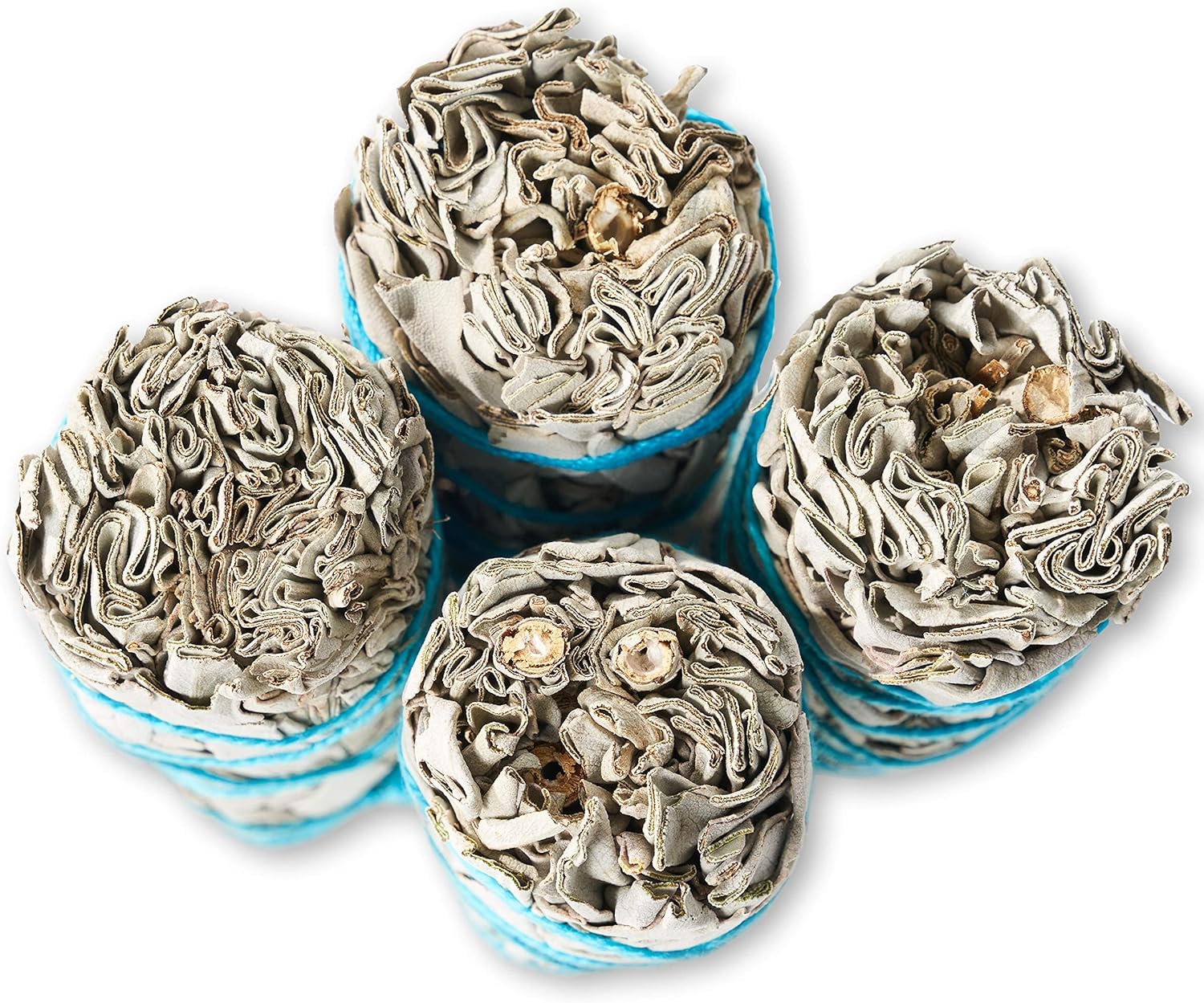 Blue River Sage 20 White Sage Smudge Sticks – 4 Inch Sustainably Grown Bundles
