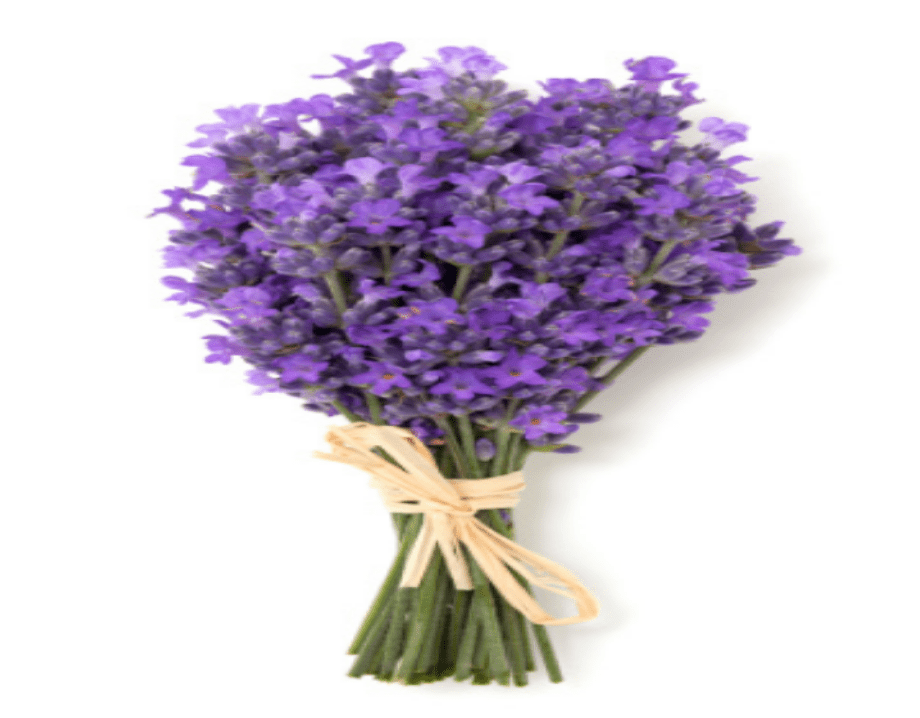 Exfoliating Organic Body Scrub - Lavender Fragrance