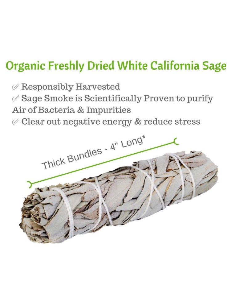 White Organic Sage 3- 4 inch - Spin The Yard