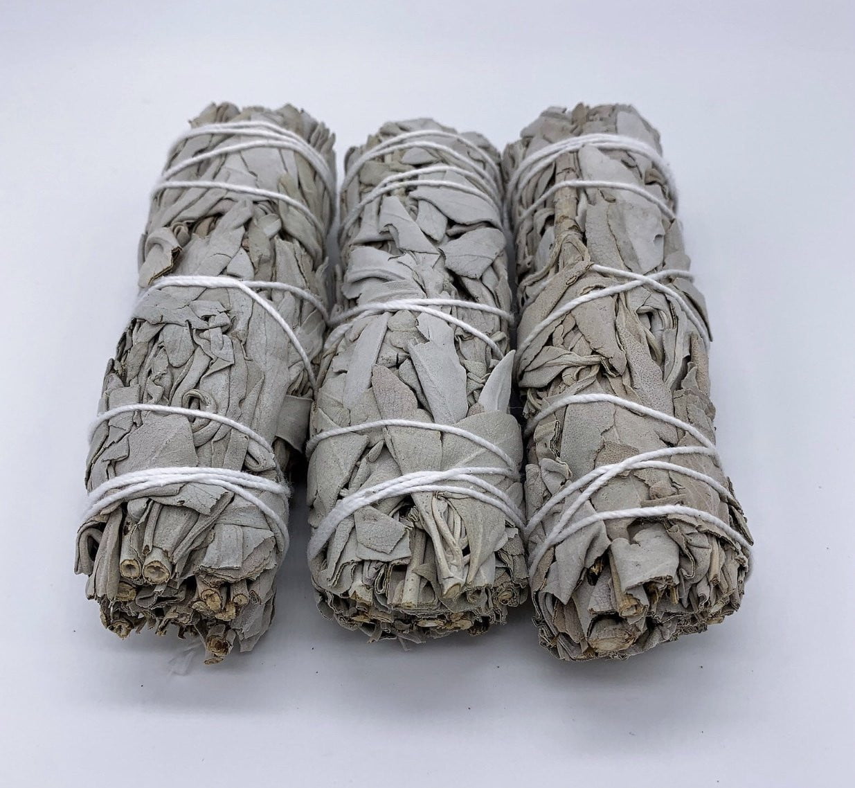 White Organic Sage 7-8 inches - Spin The Yard